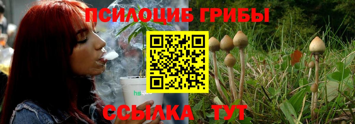 Псилоцибиновые грибы ЛСД  где продают   Минеральные Воды  Вход с VPN  Псилоцибиновые грибы мухоморы 