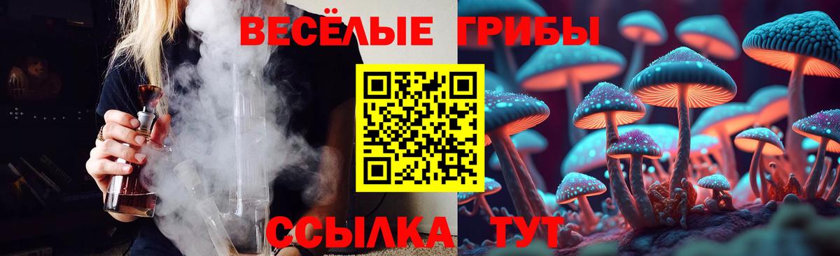 Псилоцибиновые грибы мухоморы Минеральные Воды